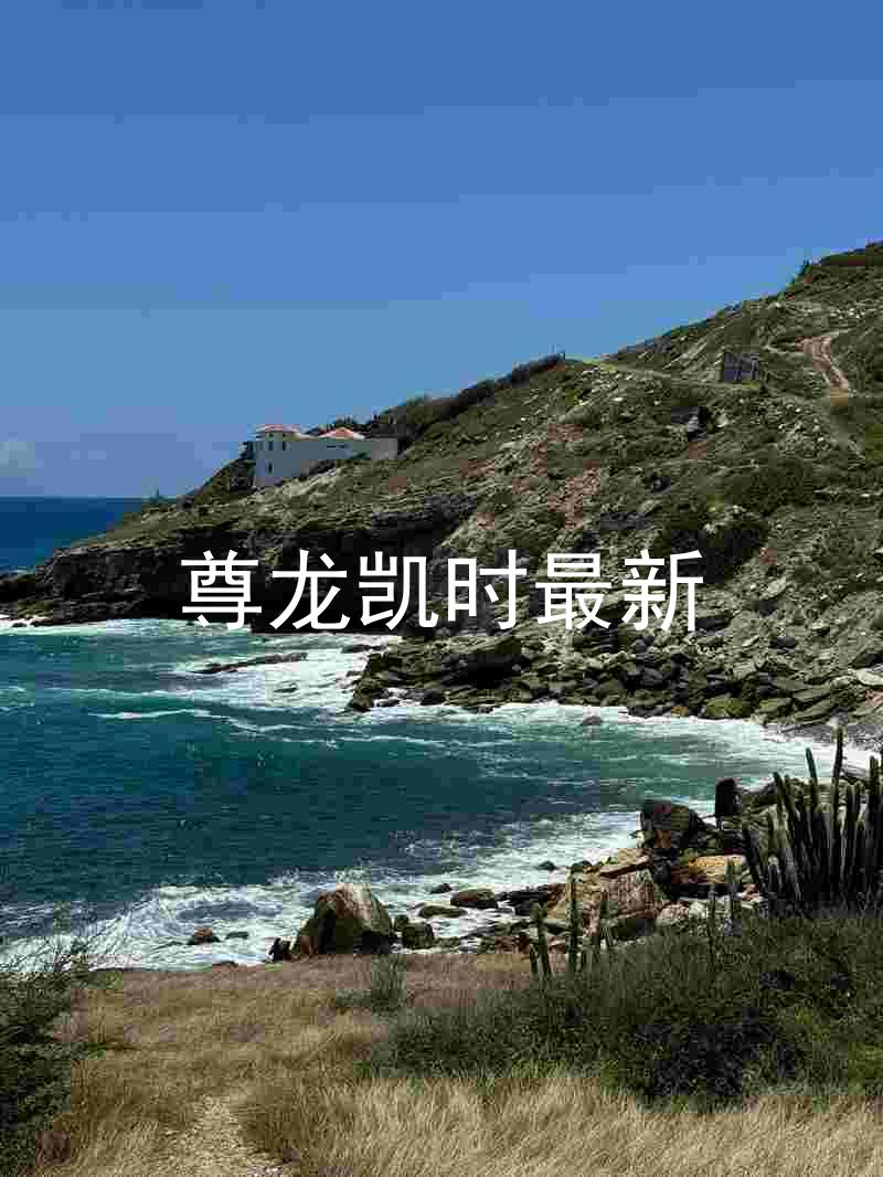 尊龙凯时最新