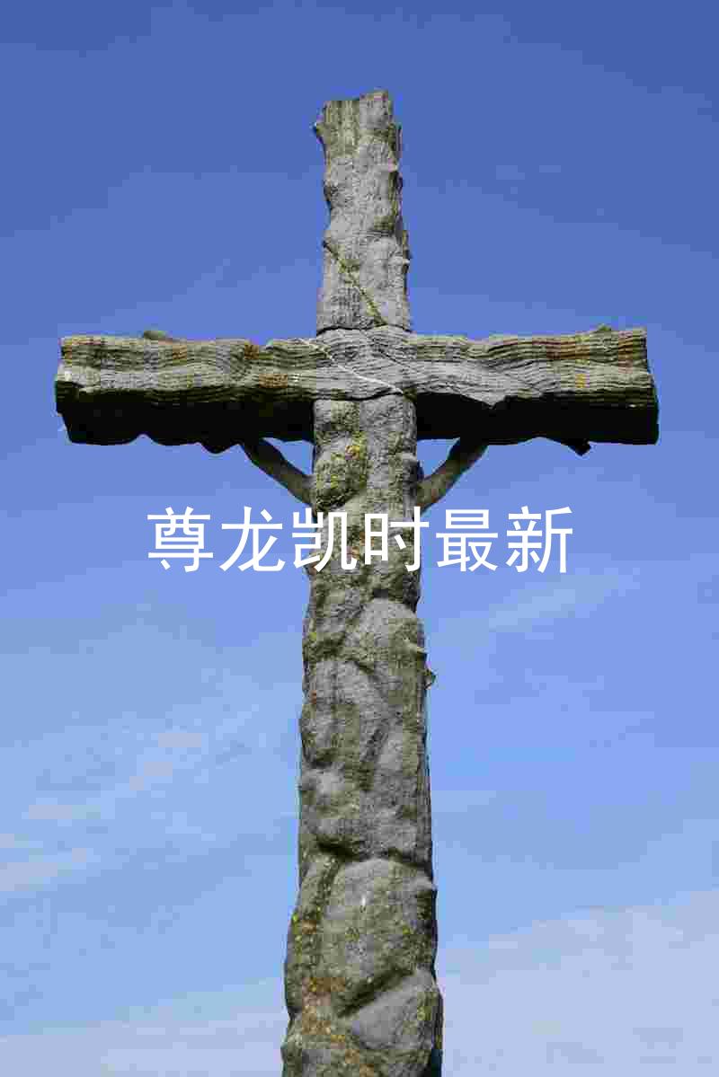 尊龙凯时最新