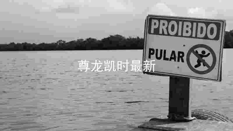 尊龙凯时最新